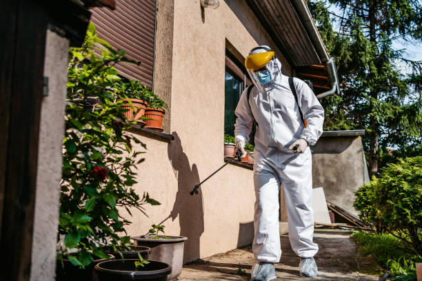 Best Flea Control Services  in Colonial Beach, VA