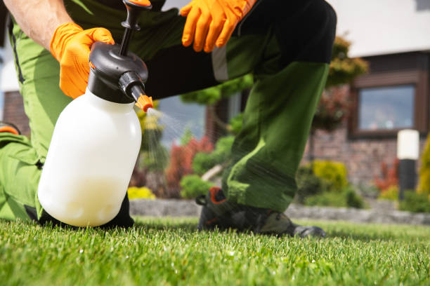 Best Insect Control  in Colonial Beach, VA