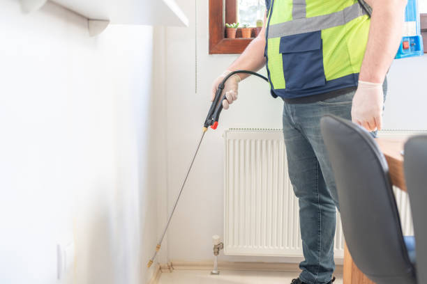Best Affordable Pest Control Services  in Colonial Beach, VA