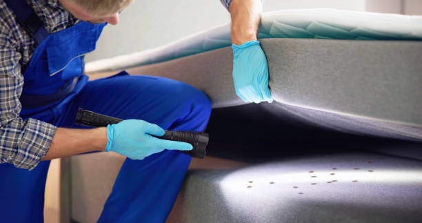 Best Wasp Removal Services  in Colonial Beach, VA