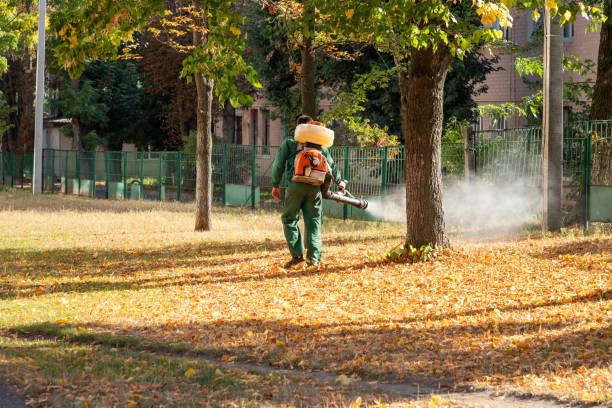 Best Residential Pest Control  in Colonial Beach, VA