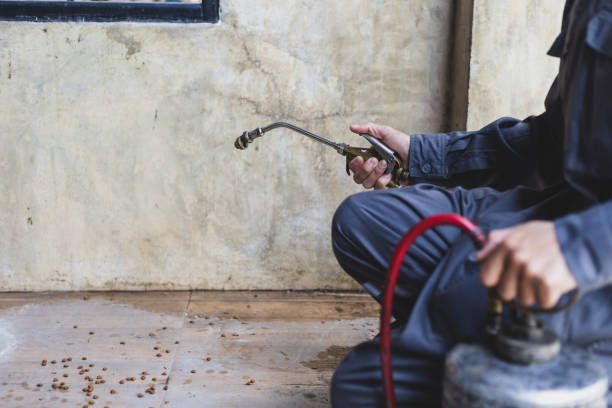 Best Best Pest Control Companies  in Colonial Beach, VA